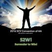 2016 SCV Convention of AA