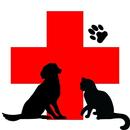 Animal Health Care - Madison APK