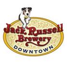 Jack Russell Downtown icon
