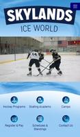 Skylands Ice World poster