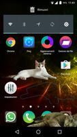 Zenka the cat widget 海报