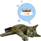 Hartie the cat widget ikon