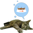 Hartie the cat widget 图标