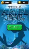Temple Ariel: Princess Adventure 截圖 3