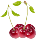 Pegatinas fotomontajes gratis APK