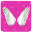 Wings fotomontage stickers