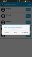 Pray the Angelus screenshot 2