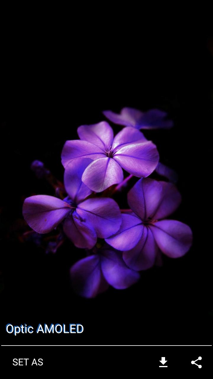 下载Optic AMOLED Wallpapers的安卓版本 下载Optic AMOLED Wallpapers的安卓版本