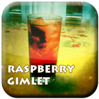 Free Cocktail Raspberry Gimlet أيقونة