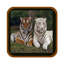 India's State Animal APK