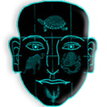 Face Reading