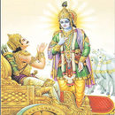 Bhagavad Gita Telugu Audio APK