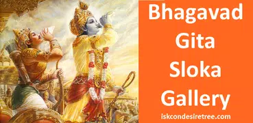 Bhagavad Gita Sloka Gallery