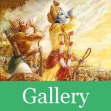 Bhagavad Gita Sloka Gallery icône