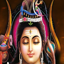 Sri Lingashtakam Karaoke APK