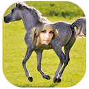 Horse Photo Editor APK