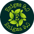 Enigma 9.0 图标