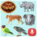 Animal Bird Voice APK