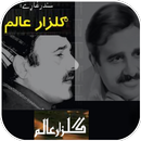 Gulzar Alam Pashto Hits APK