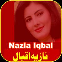 Nazia Iqbal Pashto Hits captura de pantalla 1