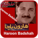 Pashto Hit Haroon Badshah APK