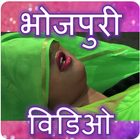 Bhojpuri Video Song HD App أيقونة
