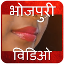 Bhojpuri Video Song 2017 APK