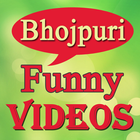 Bhojpuri Funny VIDEOs icône