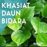 Manfaat Daun Bidara icône