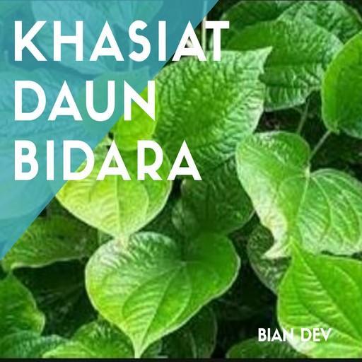 80 Gambar Atau Foto Daun Bidara Paling Bagus 80 Gambar Atau Foto Daun Bidara Paling Bagus