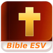 English Standard Version Bible