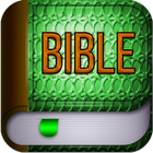 Holy bible NIV ikona
