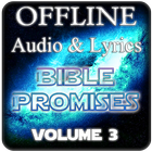 Bible Promises Offline Audio Vol3 icône
