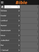 Romanian Bible NTR (Audio) скриншот 1