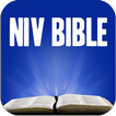 The Bible NIV