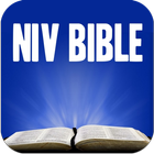 The Bible NIV ikona