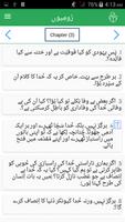 Urdu Bible captura de pantalla 2