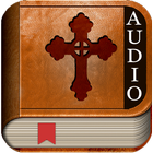 Audio Bible NIV icône