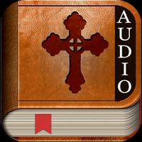 Audio Bible NIV Affiche