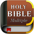 Multi Versions Bible free offline ikon