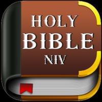 NIV Bible постер