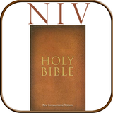 Audio Holy Bible (Niv)