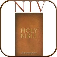 Audio Holy Bible (Niv) ポスター