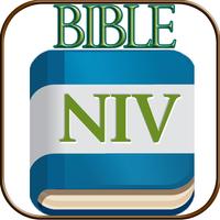 Niv Study Bible ポスター