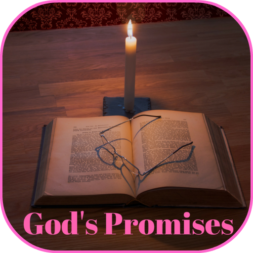 Bible Promise Chapter by Chapter