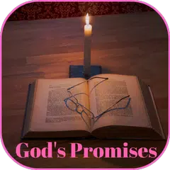 Bible Promise Chapter by Chapter APK Herunterladen