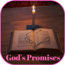 Bible Promise Chapter by Chapter APK