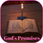 Bible Promise Chapter by Chapter أيقونة