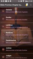 Bible Promise Chapter by Chapter الملصق