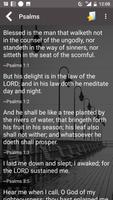 Bible Promise Chapter by Chapter تصوير الشاشة 3